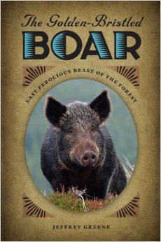 Boar