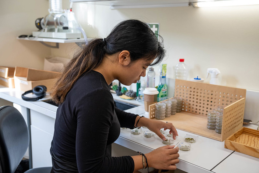 Building Environments for Discovery: Professor Elena Berg’s Research on ...